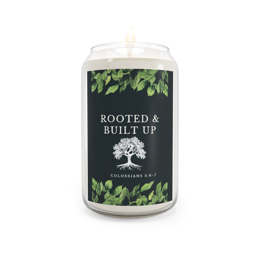 Rooted & Built Up Tall Scented Soy Candles